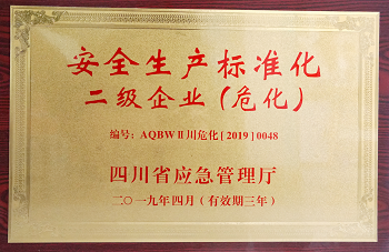 2019年四川省應(yīng)急管理廳安全生產(chǎn)標(biāo)準(zhǔn)化二級企業(yè).png